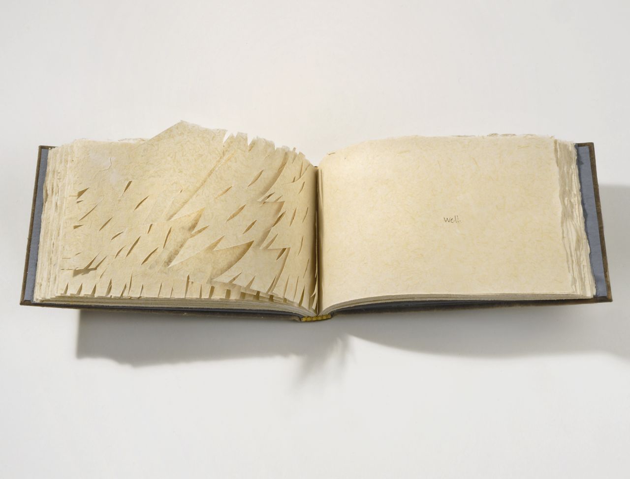 I'd like a home (2007). Handmade abaca and milkweed paper, papercuts and pen, 72 pages. 4.25 x 7 x 1". Oberlin College Art Library Collection.