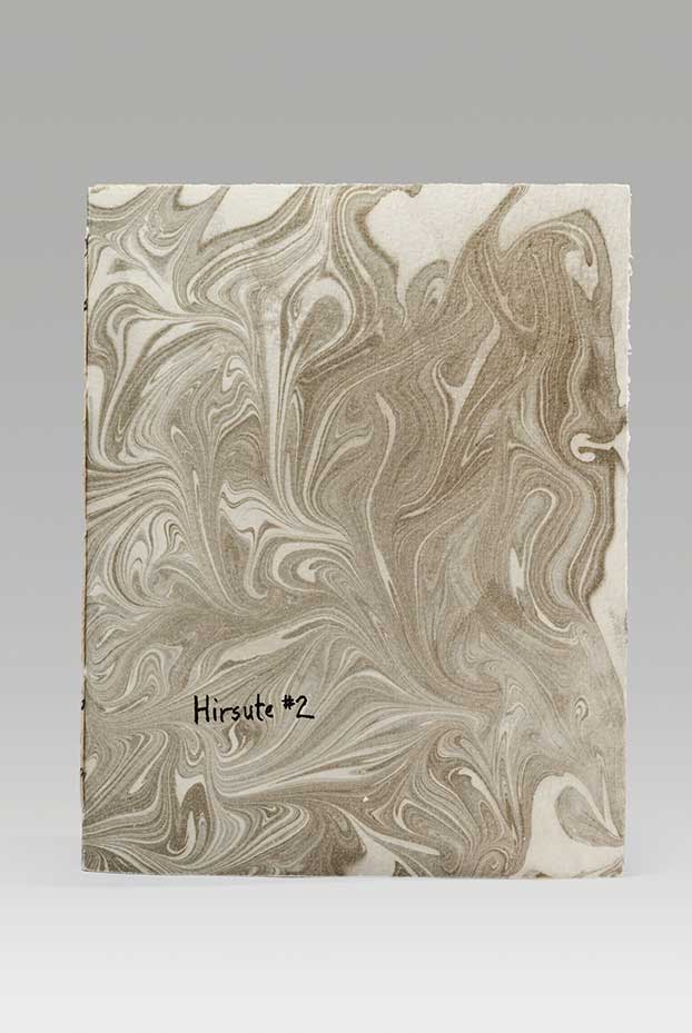 Hirsute #2 (2016). Ink and suminagashi on Rives BFK and handmade prairie cord grass paper. 7 x 5.5" closed. MIA.