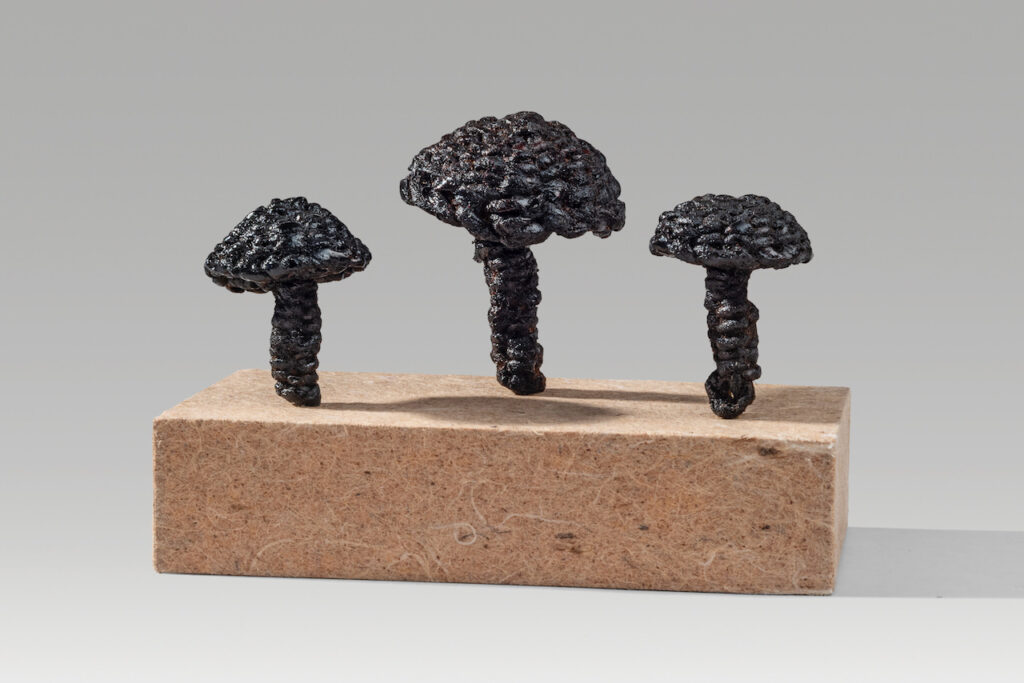 Triple mushrooms (2019). Otchil on corded and twined hanji. 3 x 4.5 x 2.2”.