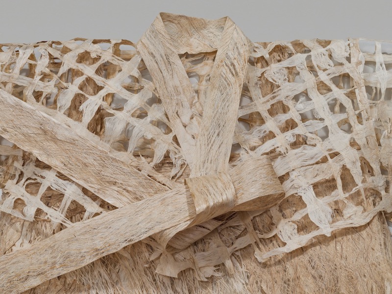 Phloem (2023). Beaten and laced paper mulberry bark, thread. 55 x 32 x 3”.