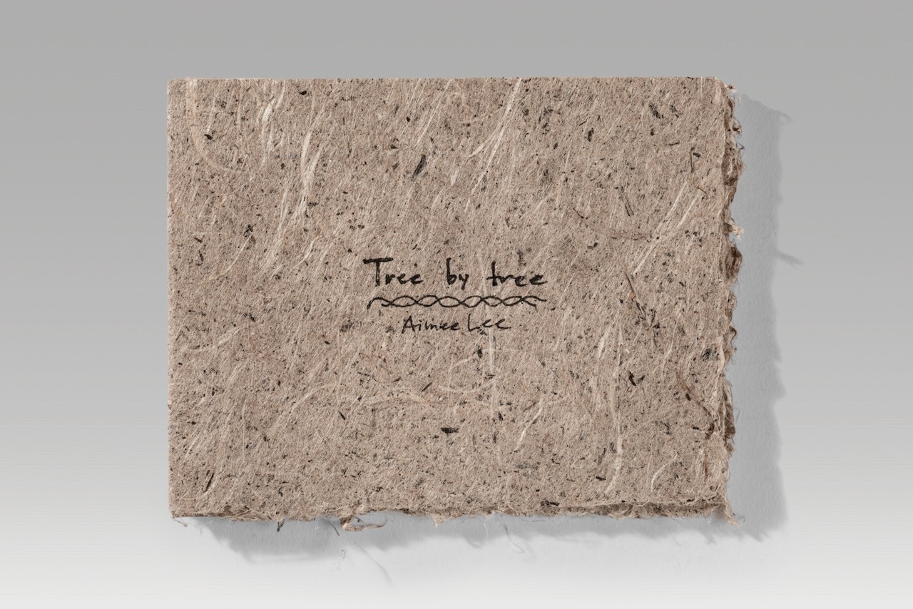 Tree by tree / milkweed version (2025). Pen on handmade milkweed paper. 4.5 x 5.75 x 0.4” closed, 11.6” wide open. One of a kind.