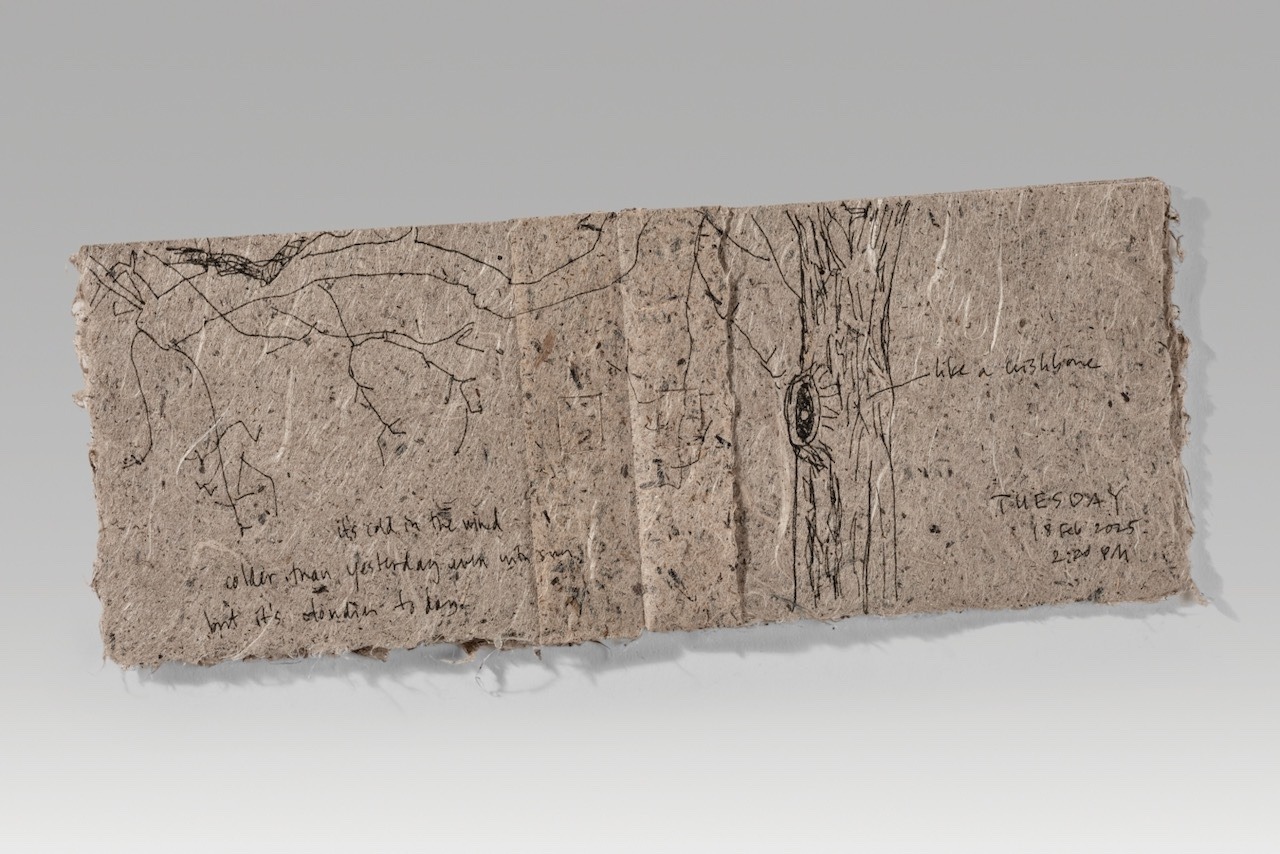 Tree by tree / milkweed version (2025). Pen on handmade milkweed paper. 4.5 x 5.75 x 0.4” closed, 11.6” wide open. One of a kind.