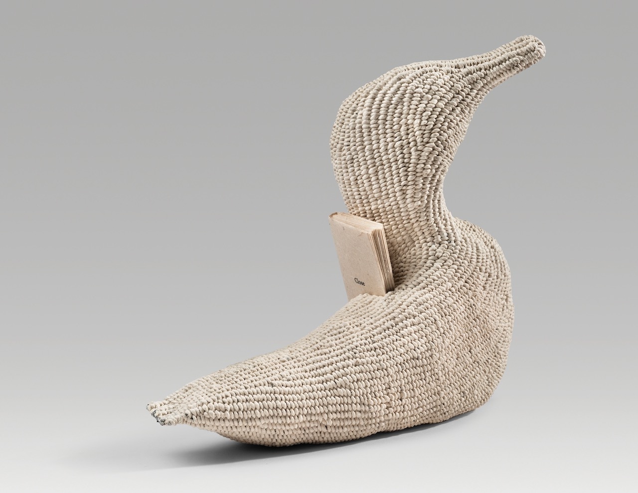 Close / duck (2025). Corded and twined hanji, inkjet print on hanji. Duck: 8 x 8.6 x 0.25”; book: 3.2 x 1.75 x 0.25” closed.