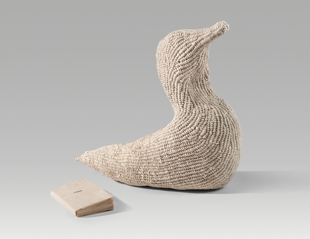 Close / duck (2025). Corded and twined hanji, inkjet print on hanji. Duck: 8 x 8.6 x 0.25”; book: 3.2 x 1.75 x 0.25” closed.